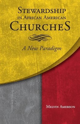 bokomslag Stewardship in African American Churches