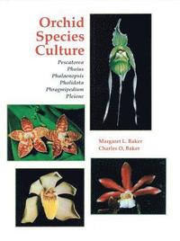 bokomslag Orchid Species Culture