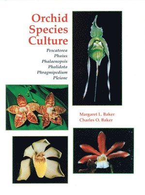 Orchid Species Culture 1