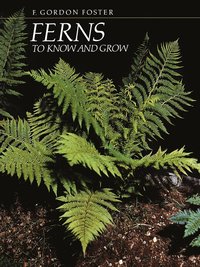 bokomslag Ferns to Know and Grow