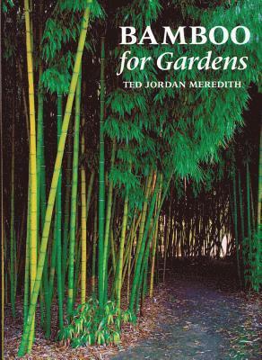 Bamboo for Gardens