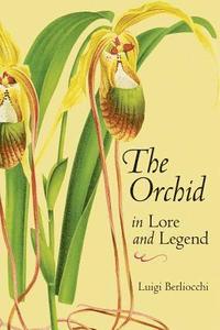 bokomslag Orchid In Lore And Legend