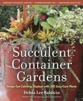 bokomslag Succulent Container Gardens