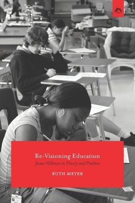 bokomslag Re-Visioning Education