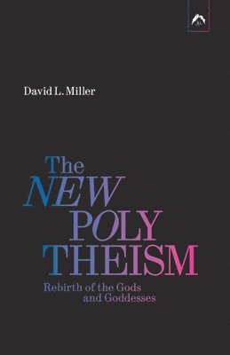 David L Miller - New Polytheism, Häftad