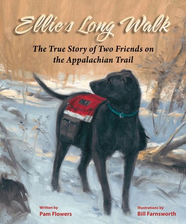Pam Flowers - Ellie's Long Walk, Häftad