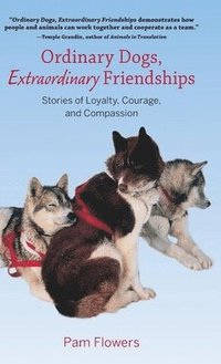 bokomslag Ordinary Dogs, Extraordinary Friendships