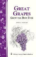 bokomslag Great Grapes