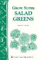 Grow Super Salad Greens 1