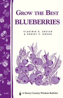 Grow the Best Blueberries 1