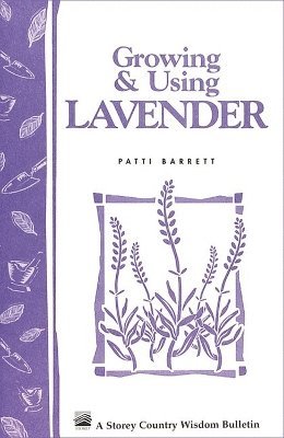 Growing & Using Lavender 1