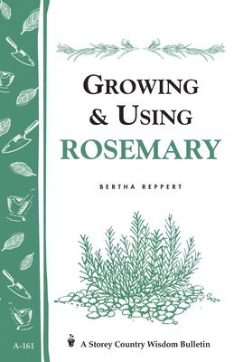 bokomslag Growing & Using Rosemary