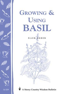 Growing & Using Basil 1