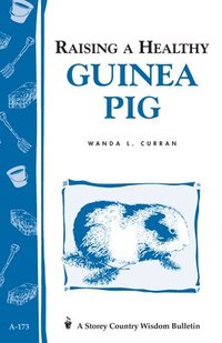 bokomslag Raising a Healthy Guinea Pig