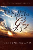 bokomslag Trailing Clouds of Glory: First Person Glimpses Into Premortality