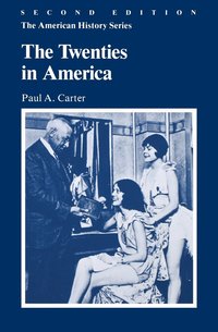 bokomslag Twenties in America
