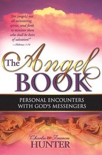 bokomslag Angel Book