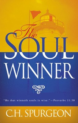 bokomslag Soulwinner