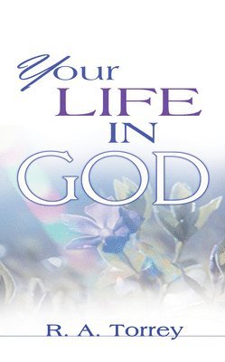 bokomslag Your Life in God