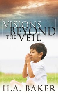 bokomslag Visions Beyond The Veil