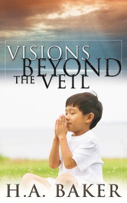 bokomslag Visions Beyond the Veil