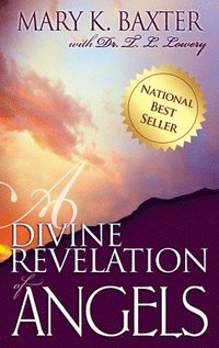 bokomslag Divine Revelation of Angels