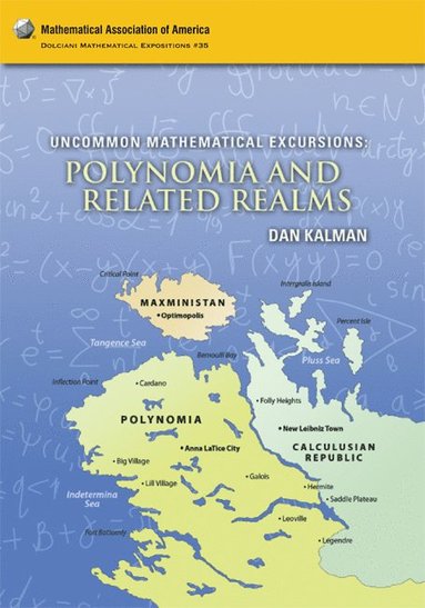 bokomslag Uncommon Mathematical Excursions