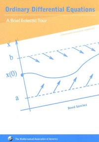 bokomslag Ordinary Differential Equations: A Brief Eclectic Tour
