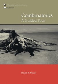 bokomslag Combinatorics: A Guided Tour