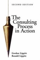 The Consulting Process in Action 1