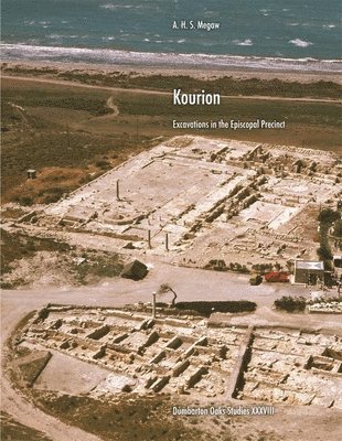 bokomslag Kourion