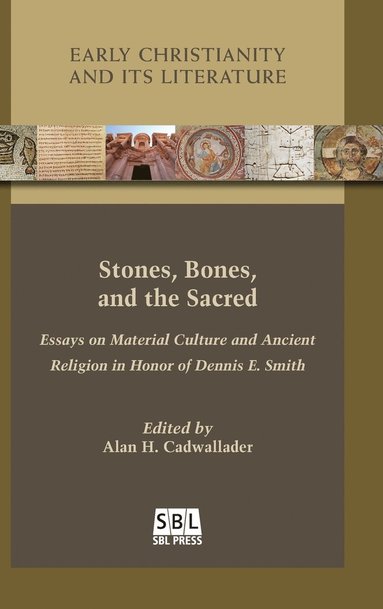 bokomslag Stones, Bones, and the Sacred