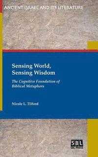 bokomslag Sensing World, Sensing Wisdom