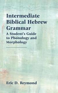 bokomslag Intermediate Biblical Hebrew Grammar