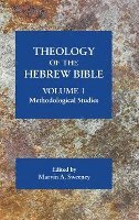 bokomslag Theology of the Hebrew Bible, volume 1