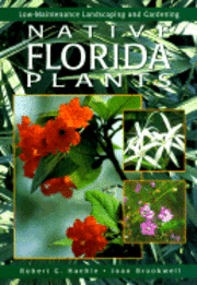bokomslag Native Florida Plants