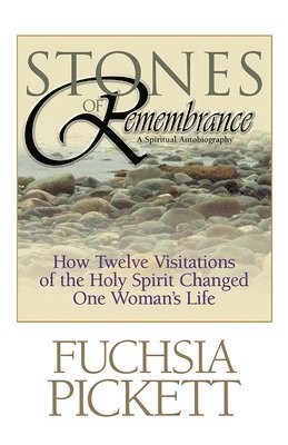 bokomslag Stones of Remembrance: How Twelve Visitations of the Holy Spirit Changed One Woman's Life