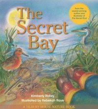 bokomslag The Secret Bay