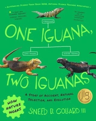 One Iguana, Two Iguanas 1