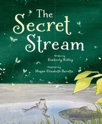bokomslag The Secret Stream