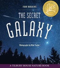 bokomslag The Secret Galaxy