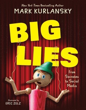 bokomslag BIG LIES