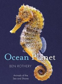 bokomslag Ocean Planet - Animals of the Sea and Shore