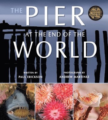 The Pier at the End of the World 1