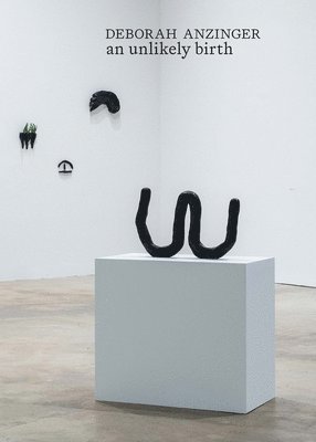 Daniella Rose King - Deborah Anzinger: An Unlikely Birth, Inbunden