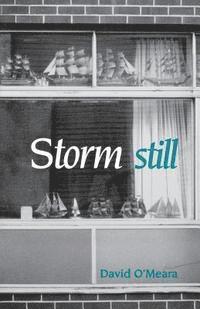 bokomslag Storm Still
