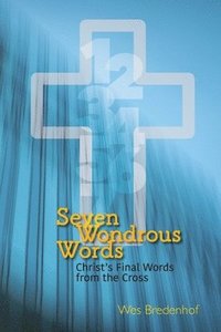bokomslag Seven Wondrous Words