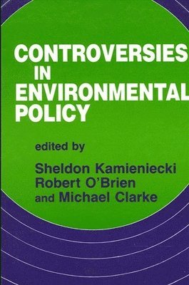 Sheldon Kamieniecki, Robert M. O'Brien, Michael Clarke - Controversies in Environmental Policy, Häftad