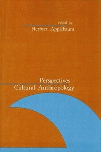 bokomslag Perspectives in Cultural Anthropology