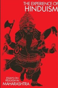 bokomslag The Experience of Hinduism